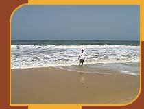 Arabian Sea - Kerala