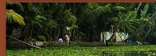 Kerala Backwater