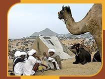 Pushkar Fair