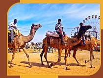 Pushkar Fair